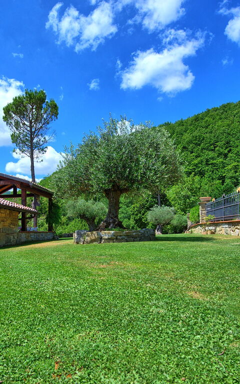 Villa Contessa: Garden