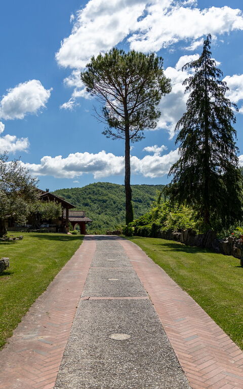 Villa Contessa: Garden, Outdoor, Scenic View