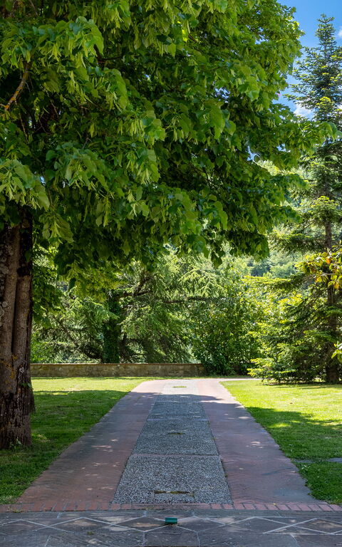 Villa Contessa: Garden, Outdoor