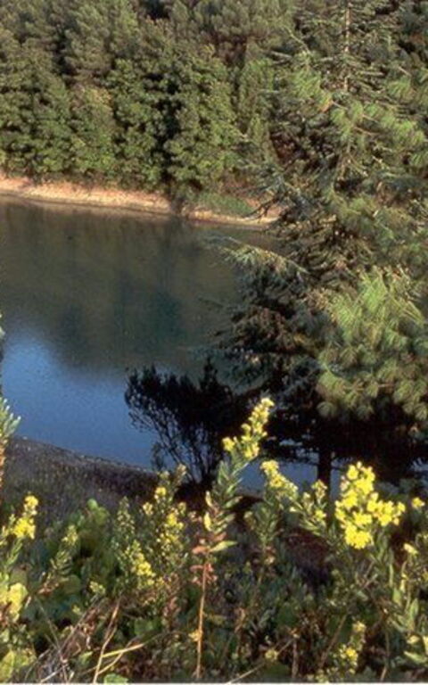 La Selva: Scenic View