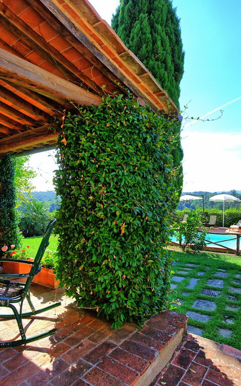 Il Frantoio: Garden, Outdoor