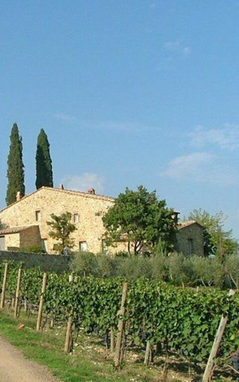 Brunello: Scenic View