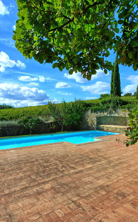 Brunello: Outdoor, Pool