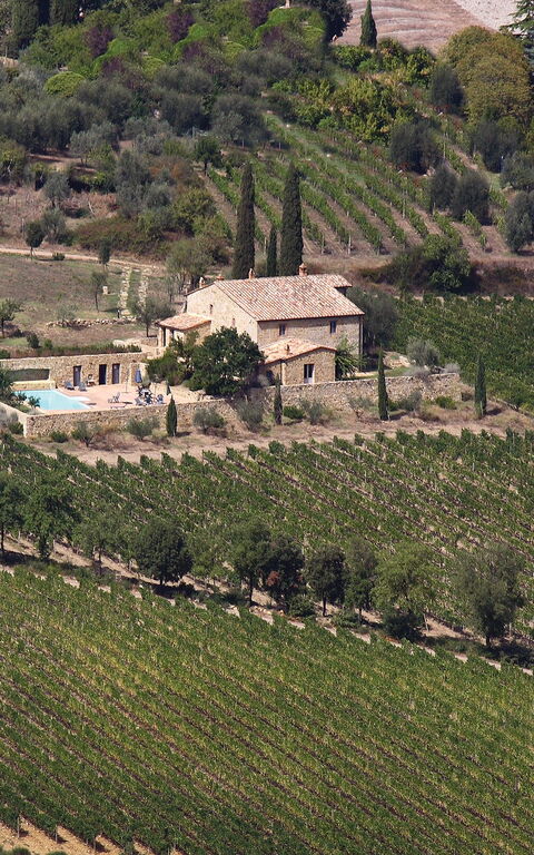 Brunello