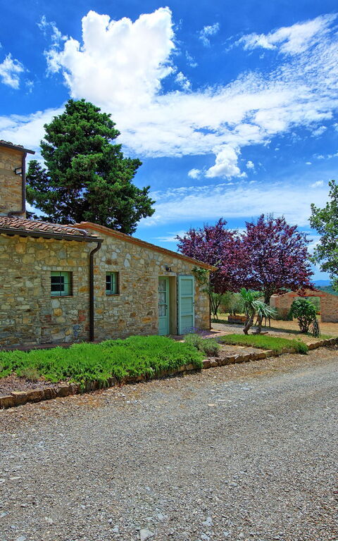 San Donato: Garden, Outdoor