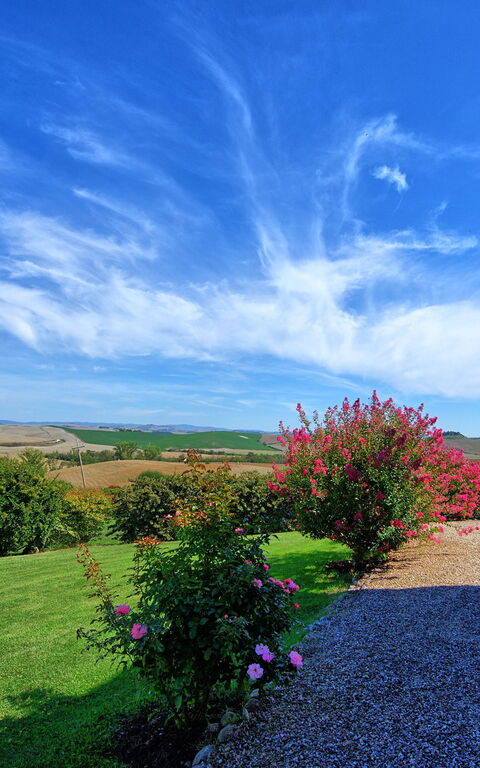 San Donnino: Garden, Outdoor