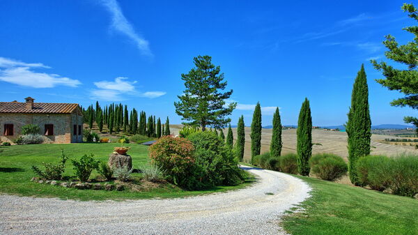 San Donnino: Garden, Outdoor