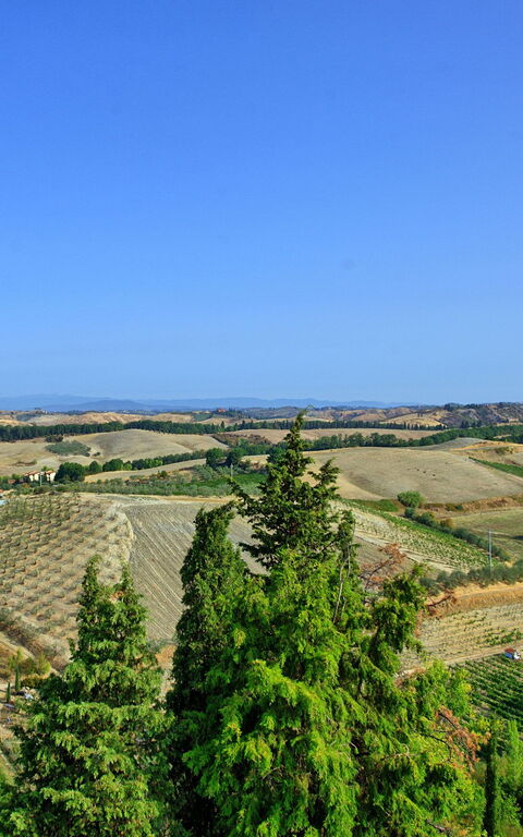 Certaldo: Scenic View