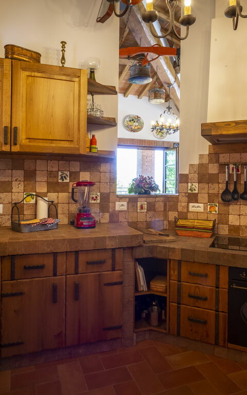 Villa Amadeo: Kitchen