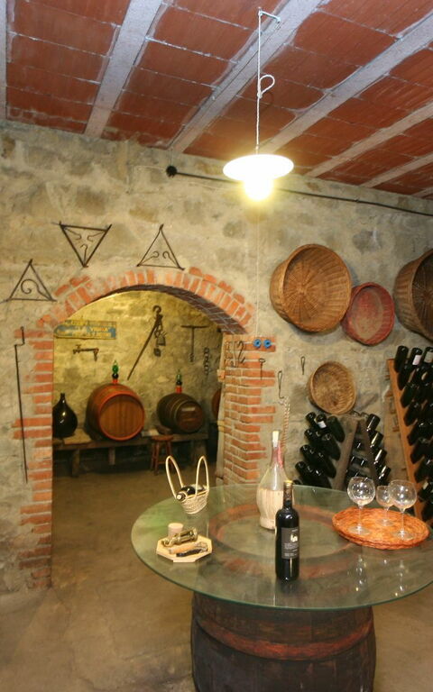 Villa Lo Scoiattolo: Activities