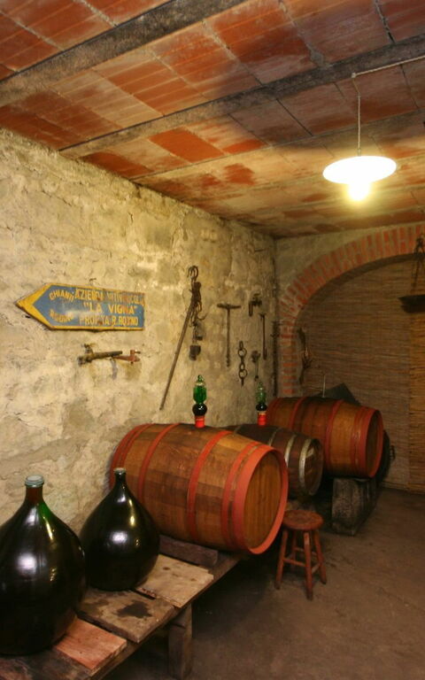 Villa Lo Scoiattolo: Activities