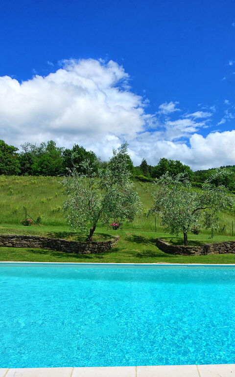 Villa Lo Scoiattolo: Garden, Outdoor, Pool