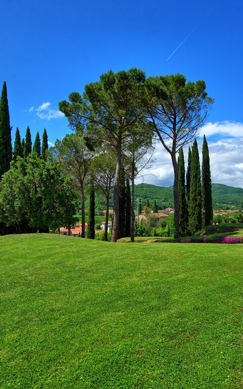 Villa Lo Scoiattolo: Garden, Outdoor