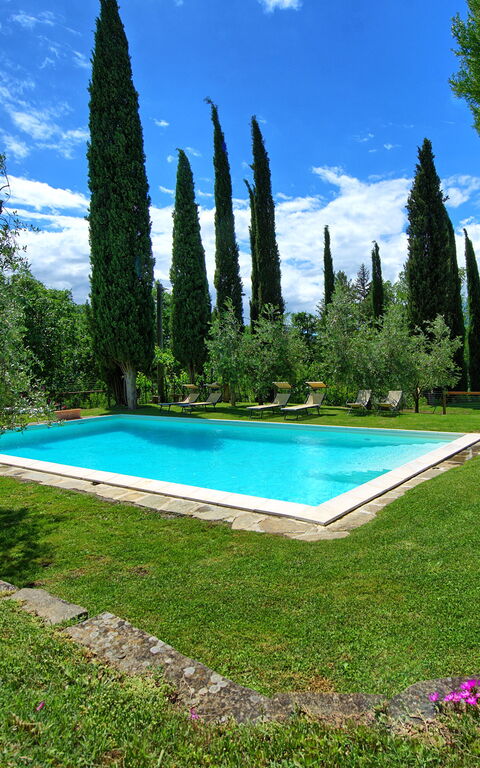 Villa Lo Scoiattolo: Garden, Outdoor, Pool