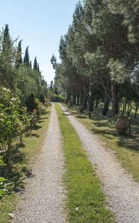 Villa Elisa: Garden