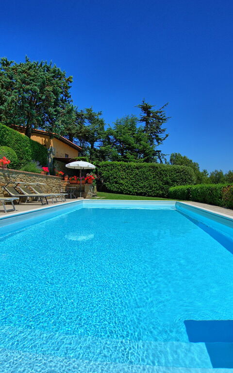 Il Salice: Pool