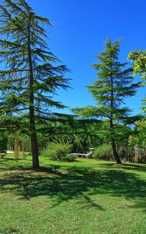 Casa Cipressi: Garden
