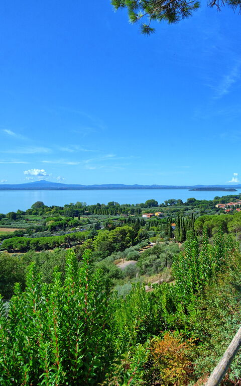 Villa Le Murate: Scenic View
