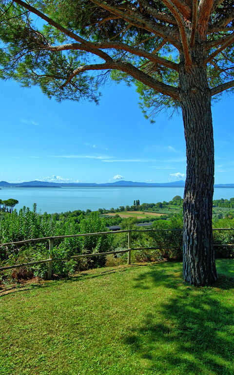 Villa Le Murate: Garden, Scenic View