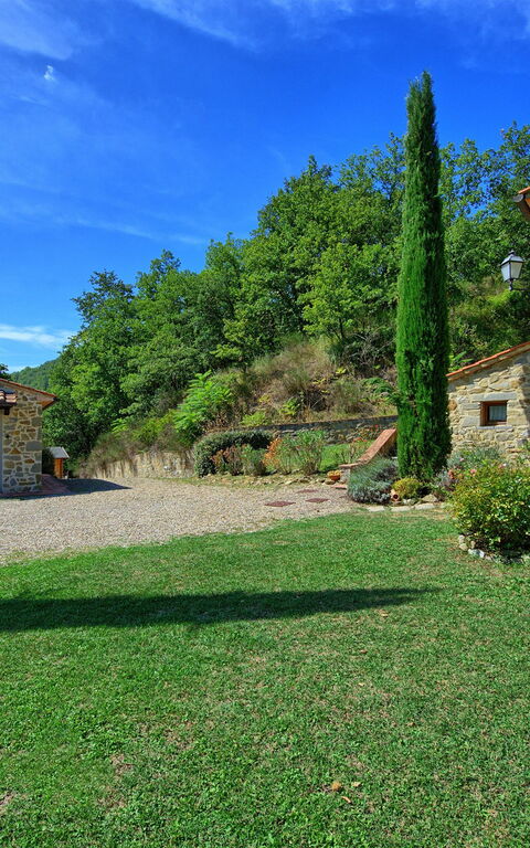 Villa Casentino: Garden, Outdoor, Pool