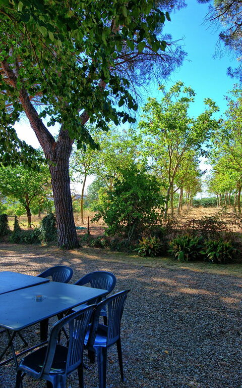 Casale Ambra: Garden