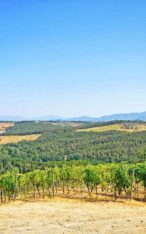 Tenuta: Scenic View