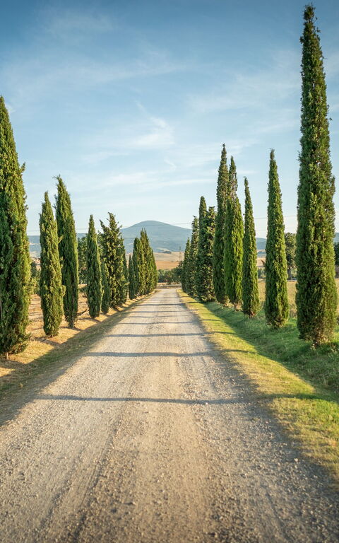 Villa Cassia: Outdoor, Scenic View