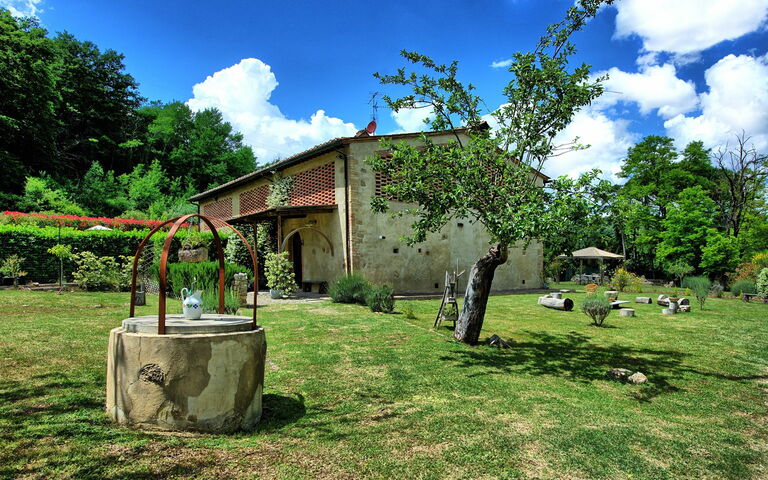 Villa Diletta: Garden