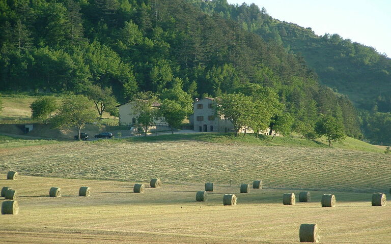Marradi: Scenic View
