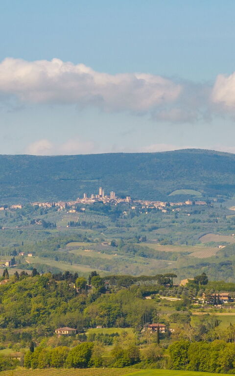 Villa Ferdinando: Outdoor