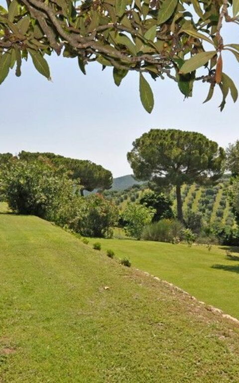 Il Principe: Scenic View