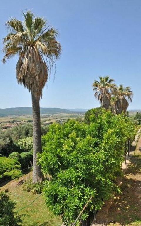 Il Principe: Building Exterior, Garden, Outdoor