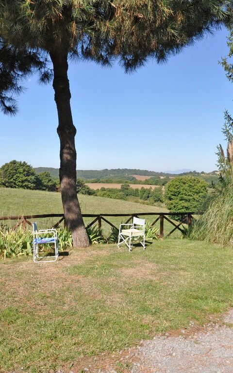 Ginestrella: Garden, Outdoor