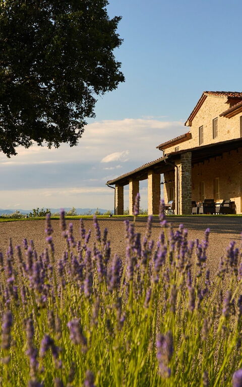 Villa Agazzi: Building Exterior, Garden, Outdoor