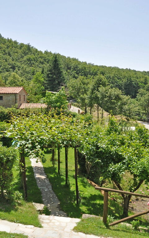 Villa Dame: Scenic View