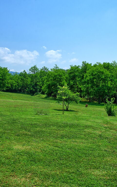Casa Ovile: Garden, Scenic View