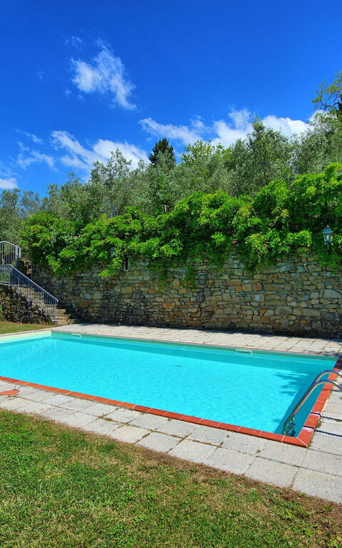 Panzalla: Garden, Pool