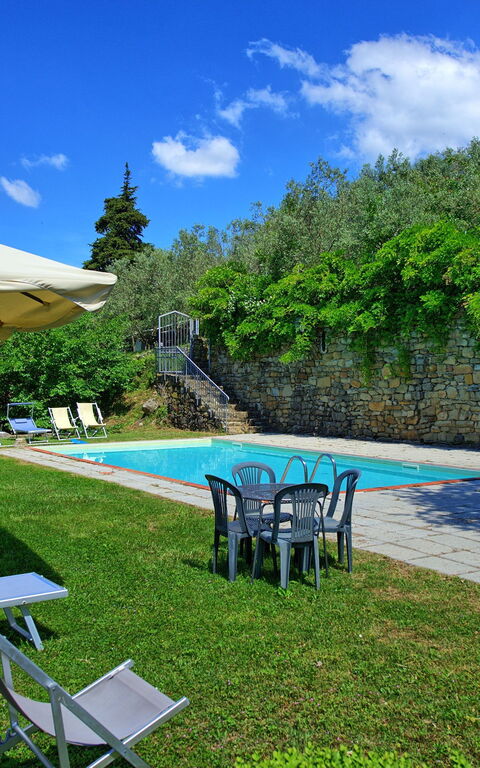 Panzalla: Garden, Pool