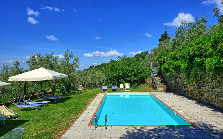 Panzalla: Garden, Pool