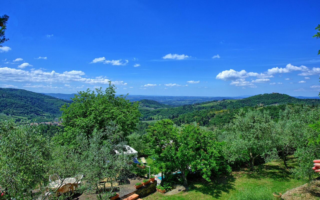 Panzalla: Garden