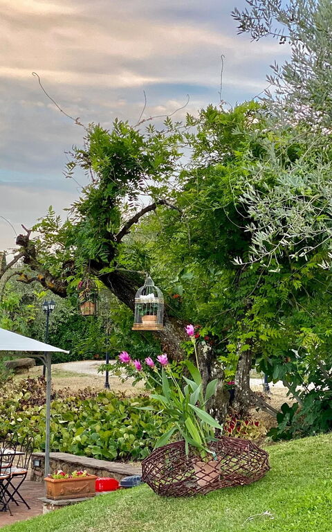 Villa Ulivi: Garden, Outdoor, Scenic View