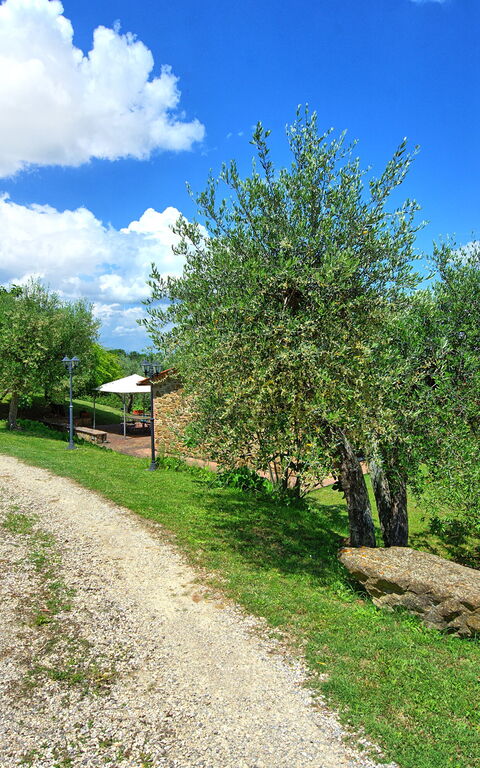 Villa Ulivi: Building Exterior, Garden, Outdoor