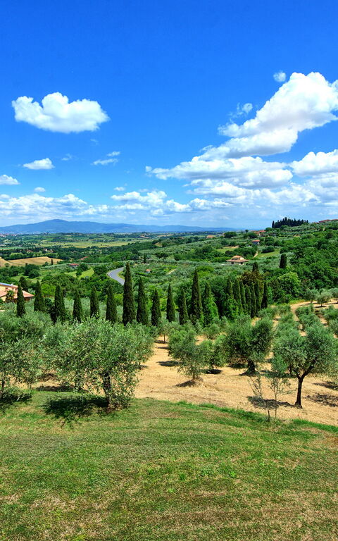 Villa Ulivi: Outdoor, Scenic View, Summer