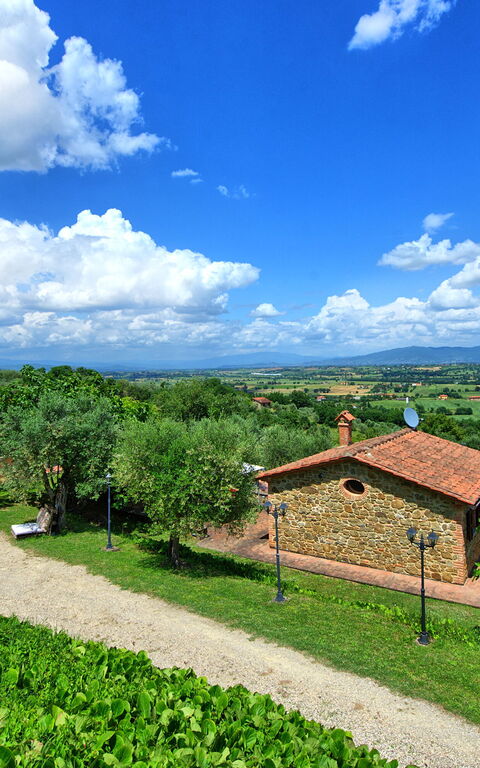 Villa Ulivi: Building Exterior, Garden, Outdoor, Scenic View, Summer