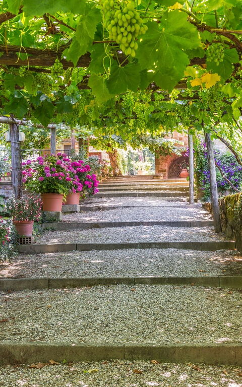 Palazzo Rosadi: Garden