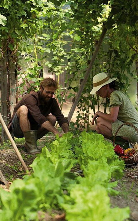 Ca' Marcello: Outdoor