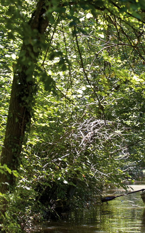 Ca' Marcello: Outdoor