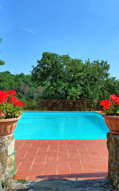 Querciolaia: Pool