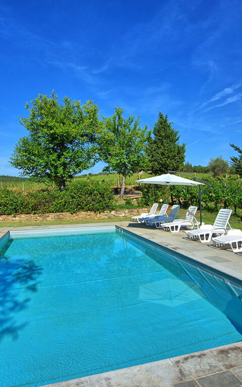 Scerfio: Outdoor, Pool, Summer