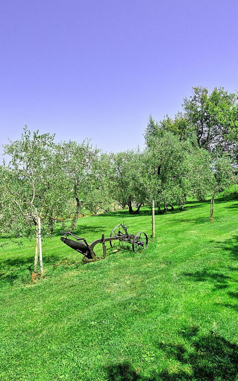 Villa Poggetta: Garden